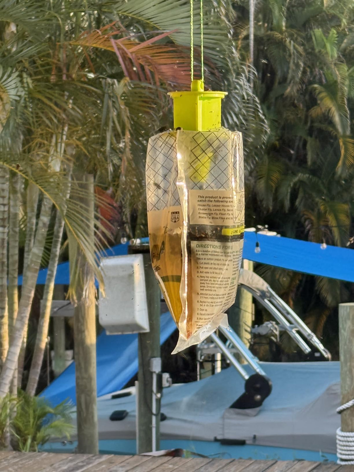 Catches Flies very well