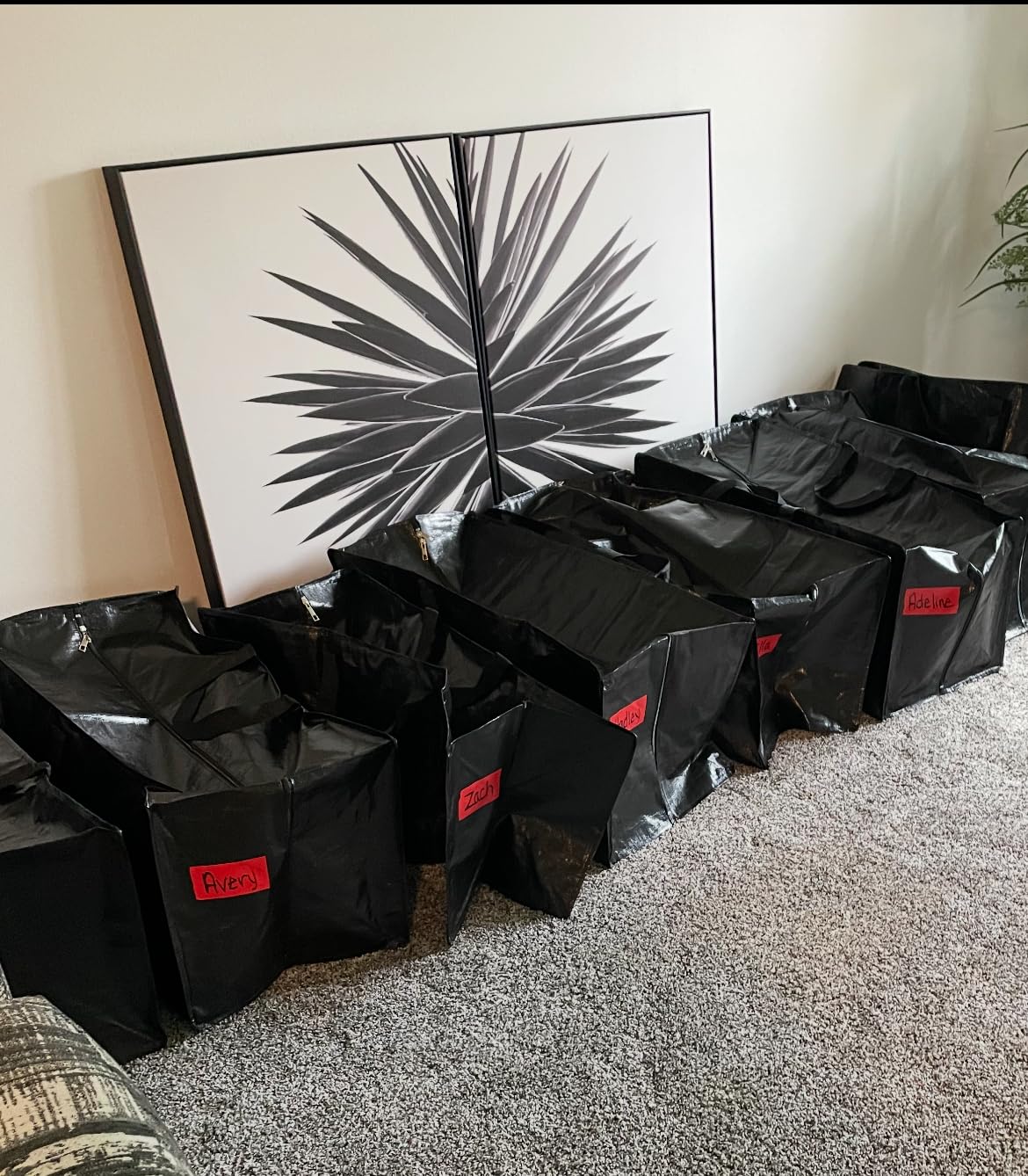 Sturdy, roomy bags with tons of uses