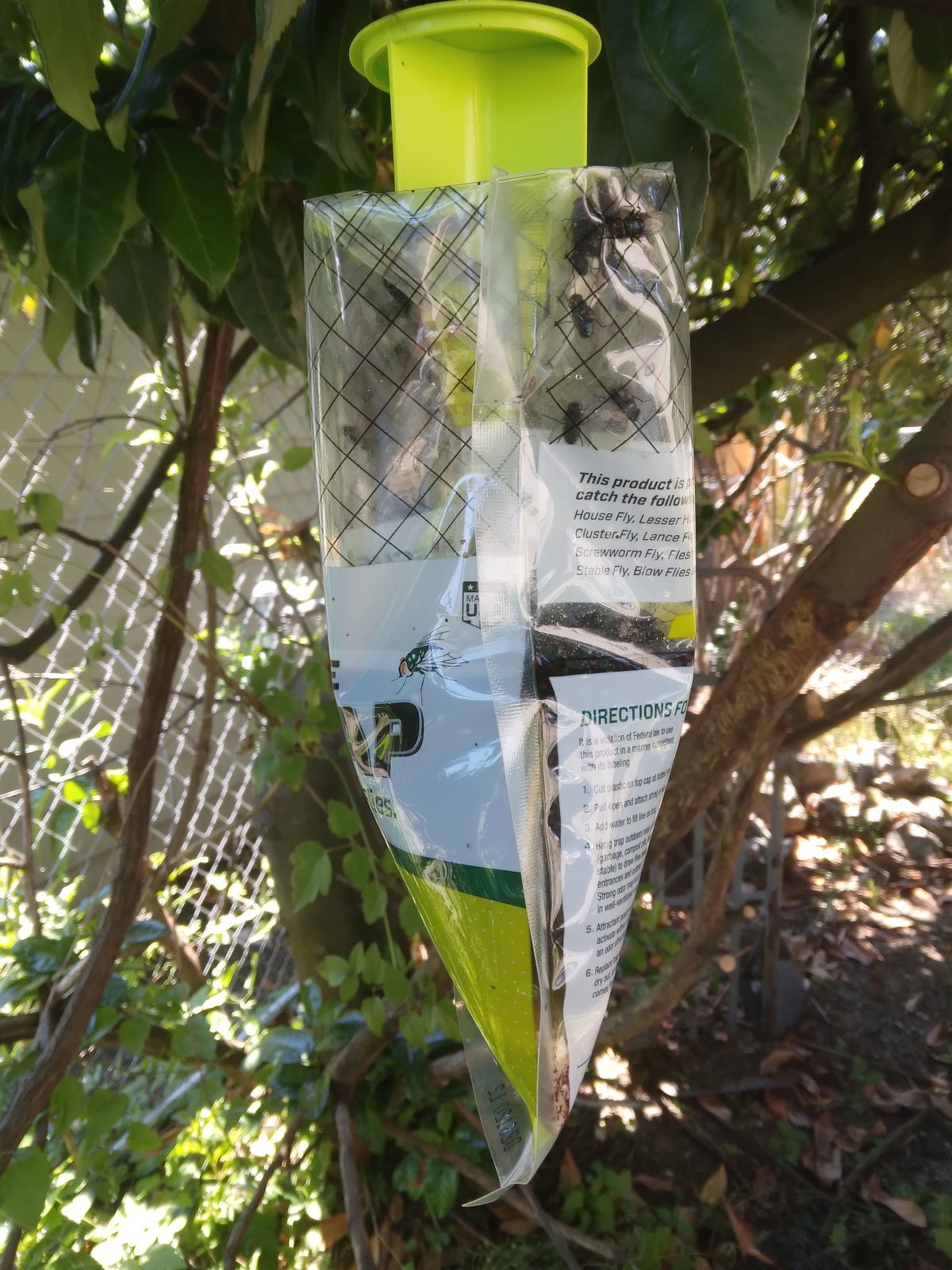 THESE TRAPS ATTRACT FLIES BUT DON'T KILL THEM